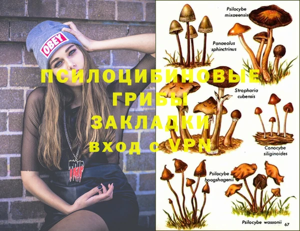 твердый Михайловка