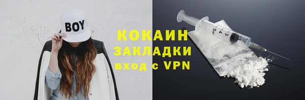 твердый Михайловка