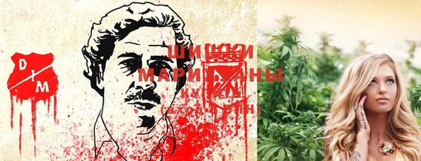 спайс Михайлов