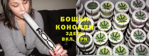 спайс Михайлов