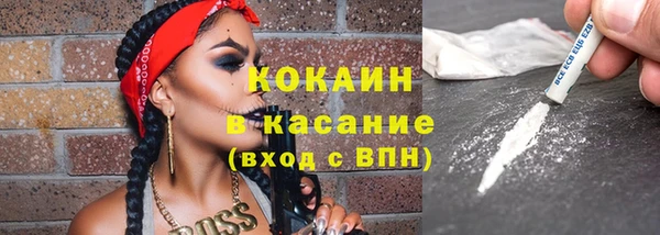 твердый Михайловка