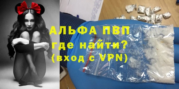 спайс Михайлов