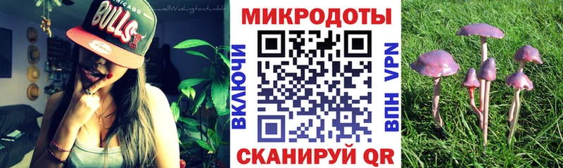 KRAKEN онион  Колпашево  Галлюциногенные грибы Psilocybine cubensis 